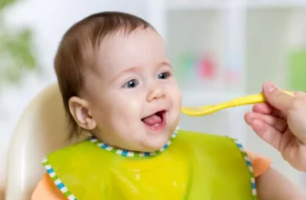 How Do I Correctly Retailer and Arrange Child Meals?