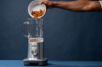 What Ought to I Search for When Shopping for a Blender?