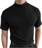 Mens Fundamental Tee Shirt Quick Sleeve Mock Turtleneck Slim Match Pullover Tight Tops Summer season Strong Undershirt